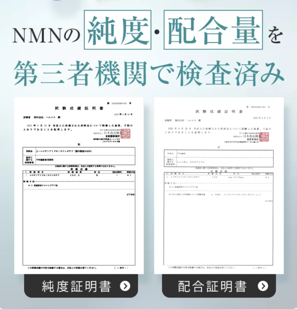 画像に alt 属性が指定されていません。ファイル名: -2025-11-07-6.34.54-985x1024.png